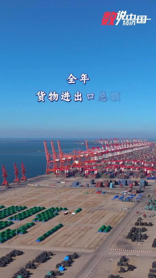2024年貨物進(jìn)出口較快增長(zhǎng)與貿(mào)易結(jié)構(gòu)持續(xù)優(yōu)化 技術(shù)進(jìn)出口的新征程